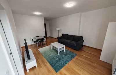 Alquiler de un acogedor apartamento de 2 habitaciones, 42 m², Zvezdara, Belgrado, Serbia